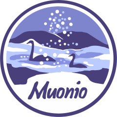 Muonion kunnan lausunto Lapin hyvinvointialueen sosiaali- ja terveyspalvelujen palveluverkon muutoksista