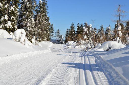 Reitit ja ulkoliikuntapaikat